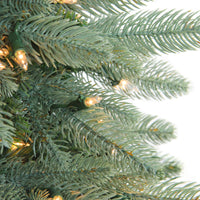 Thumbnail for Pre-Lit Washington Frasier Fir Artificial Christmas Wreath - 36-Inch, Clear Lights