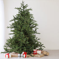 Thumbnail for 7.5' Pre-Lit Full Oregon Noble Fir Artificial Christmas Tree - Warm White LED Lights