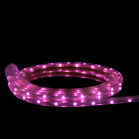 Thumbnail for 10' Pink LED Outdoor Christmas Linear Tape Lights