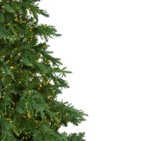 Thumbnail for 7.5' Pre-Lit Medium Mont Blanc Fir Artificial Christmas Tree - Dual Color LED Lights