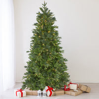 Thumbnail for 9' Pre-Lit Full Mixed Rosemary Emerald Angel Pine Artificial Christmas Tree - Clear LED Lights