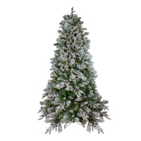 Thumbnail for 6.5' Pre-Lit LED Full Mixed Rosemary Emerald Angel Pine Artificial Christmas Tree - Clear Lights